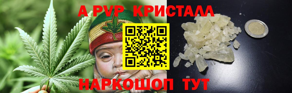 Альфа ПВП СК Кириши