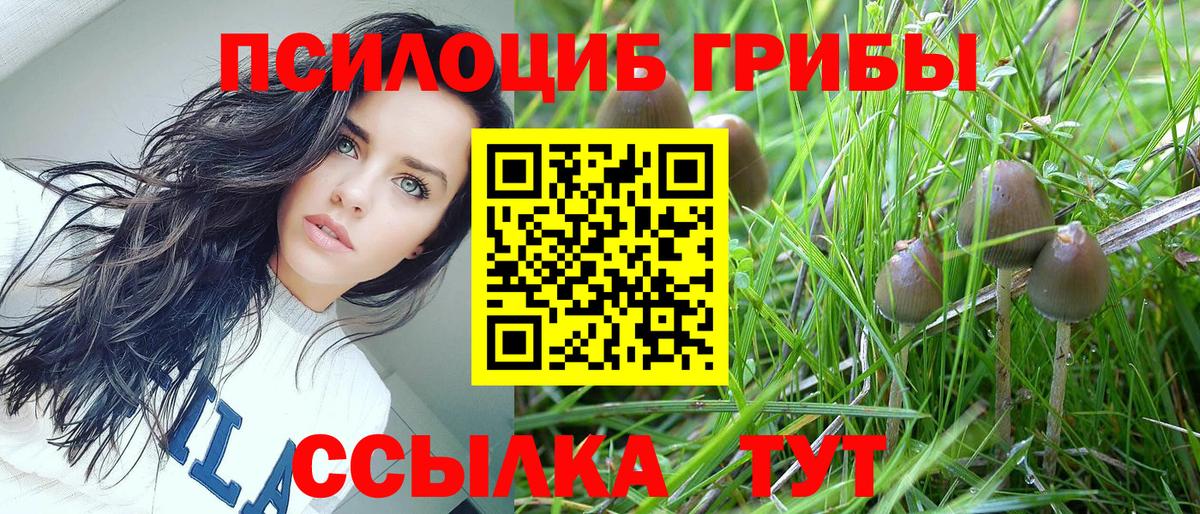 Галлюциногенные грибы MAGIC MUSHROOMS Кириши